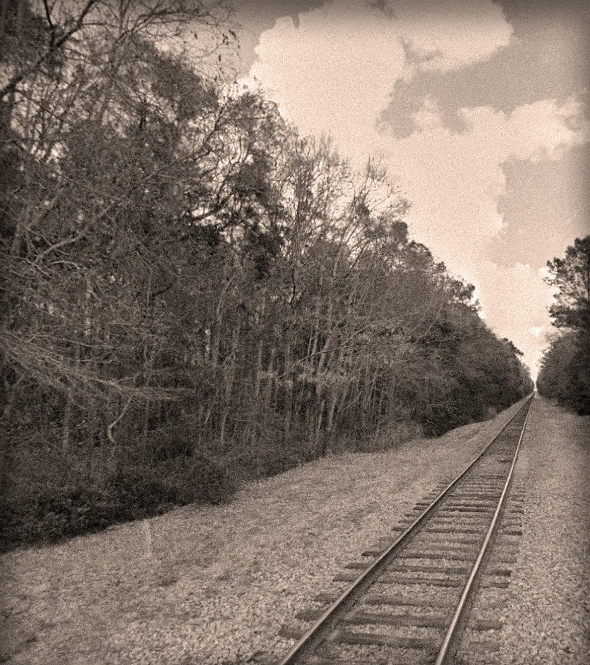 Train.webp