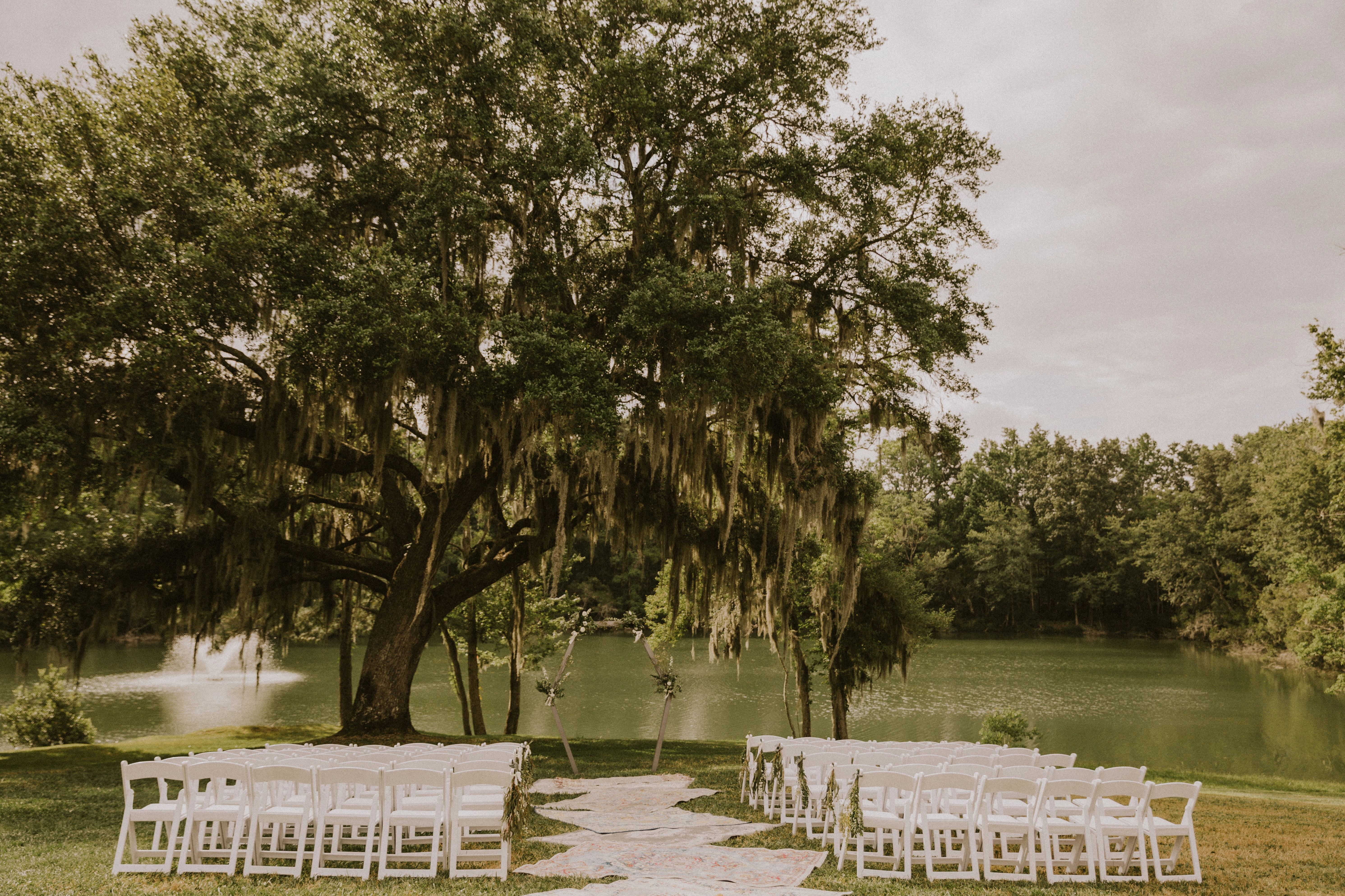 Ceremony Live Oak in the meadow at Red Gate Farms
