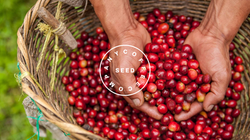 Copy of Seed Catalogue (1)