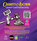 Charity Auction 2025 insta.jpg