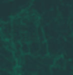 contourmapping_7.jpg