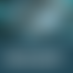 Why not having an IT Provider is a mistake for your business