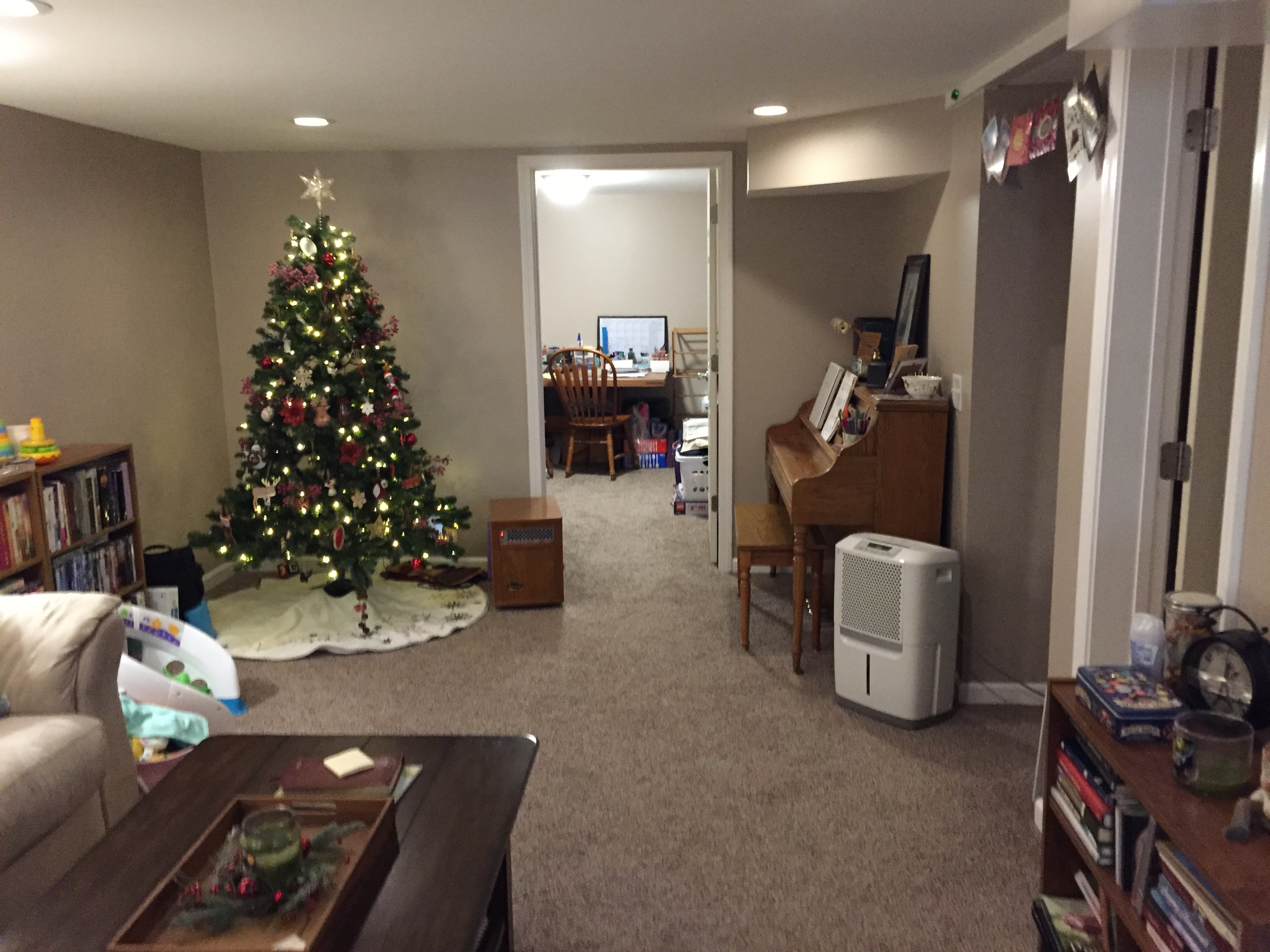 Basement Apartment Remodel