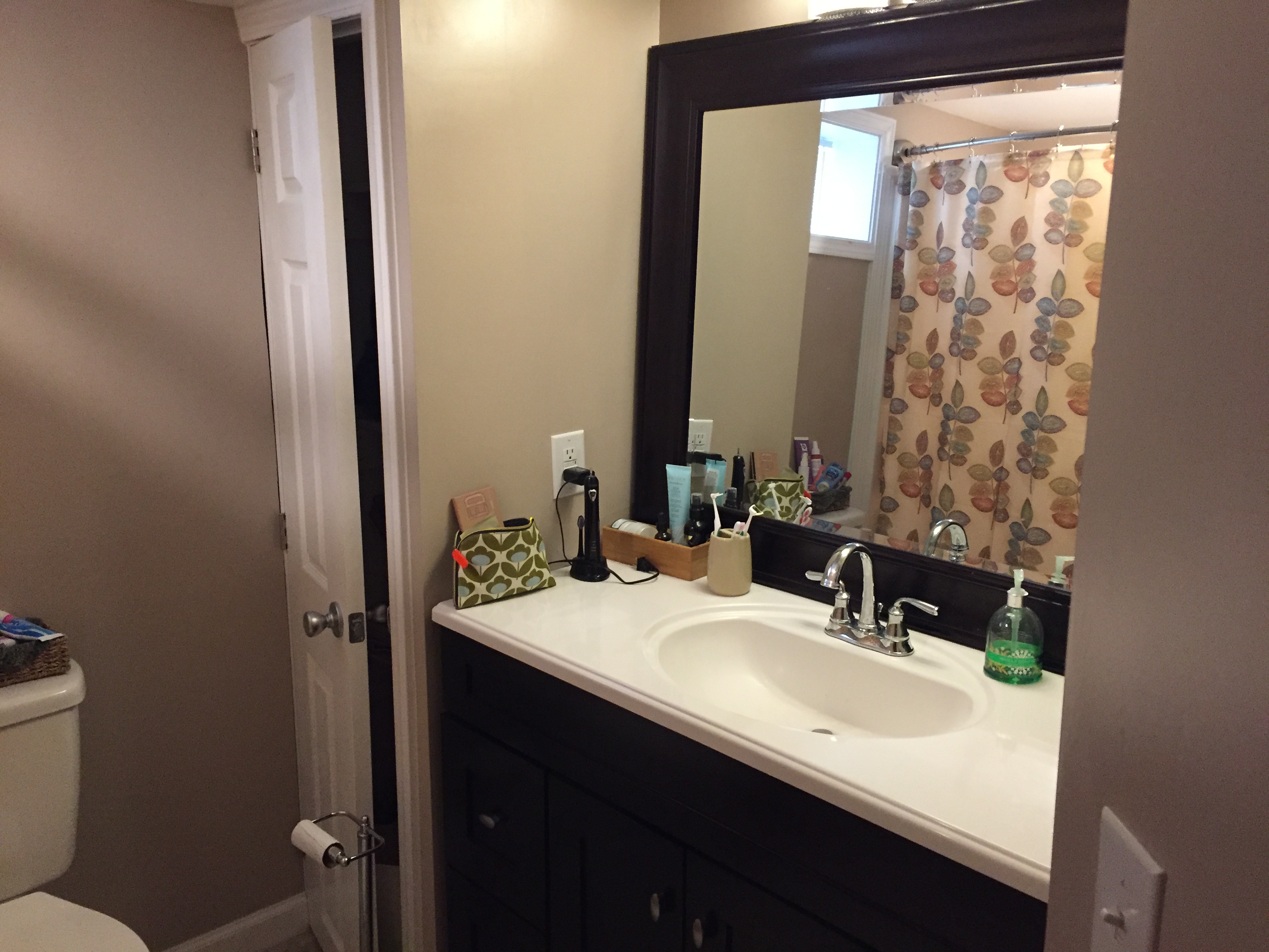 Basement Apartment Remodel