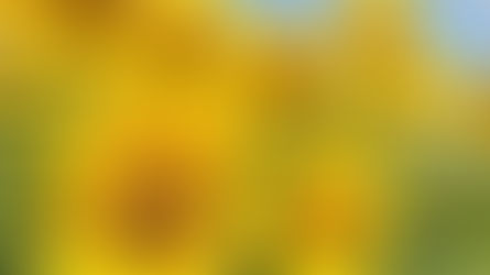 July 2026 Voice of the Divine Parent