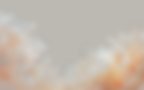 Weblayout_section12 light.png