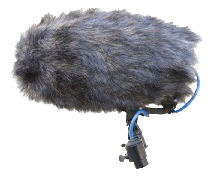 cosi-l-1_edited.png