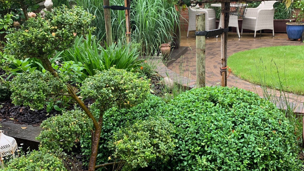 Structural planting in walled beds