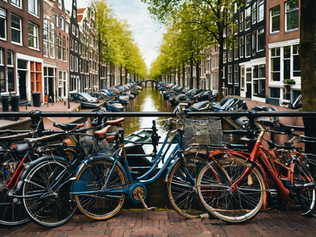 Celebrating Differences: Promoting Inclusion in Amsterdam