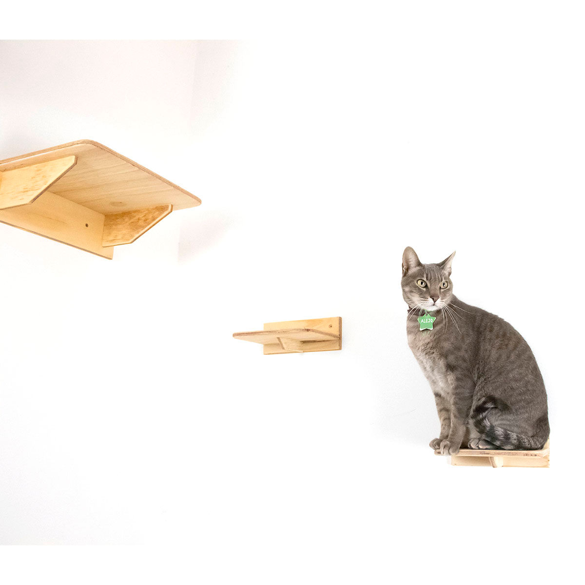 Kit Plataforma - Línea Rhonda