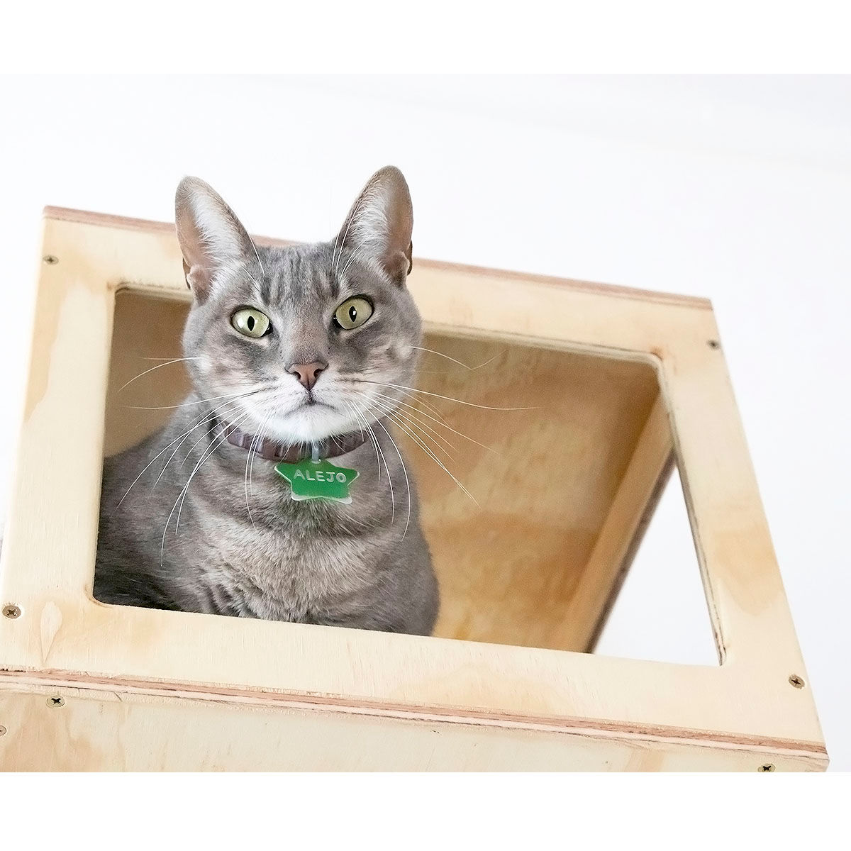 Kit Cubo - Línea Rhonda