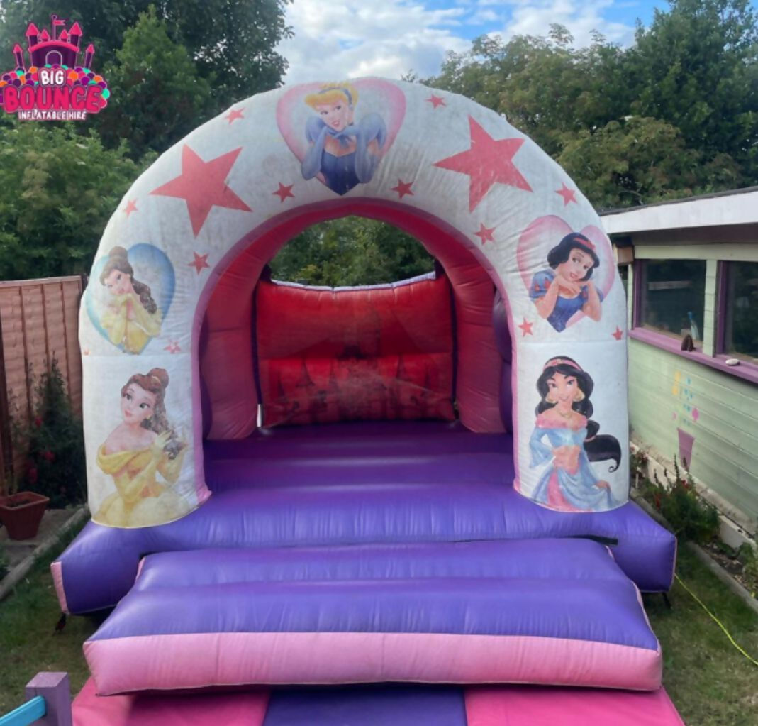 Dinosaur Slide Castle