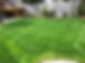 Fresh laid turf in Paignton.jpg