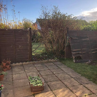 Broken fence.jpg