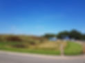 roadside grassy area