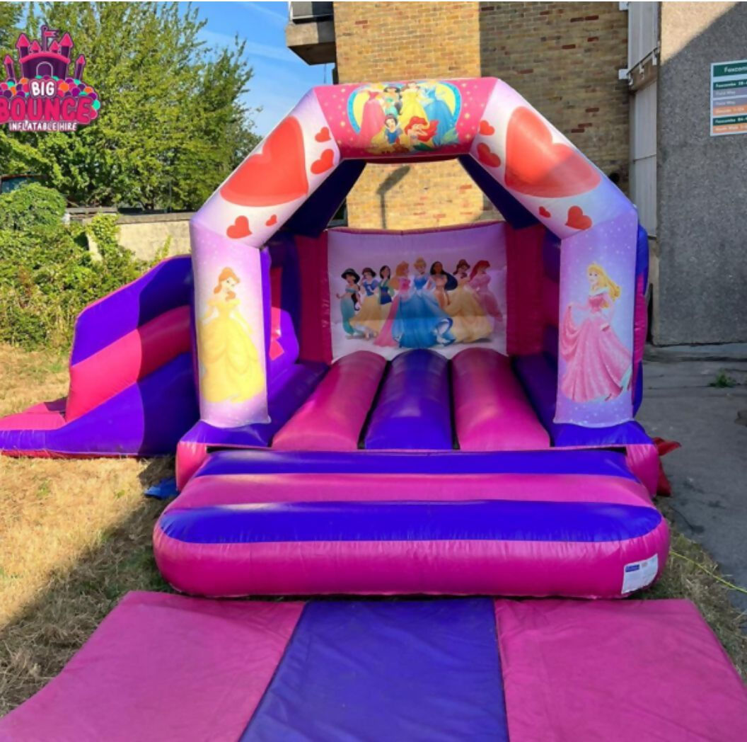 Dinosaur Slide Castle
