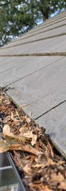 gutter system full of leaves