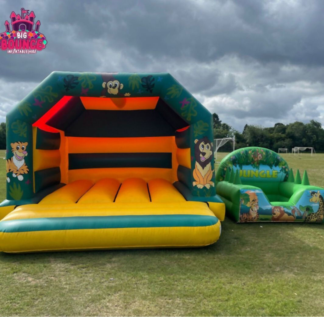 Dinosaur Slide Castle