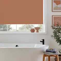Tan roller blinds 