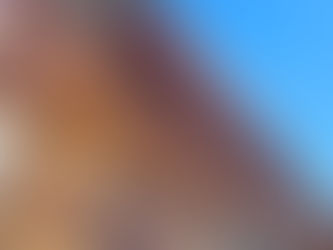 Is Your Roofline Rotting? The Essential Guide to Fascia's, Soffits, and Protecting Your Fife Home