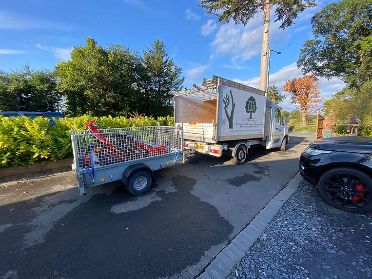 Impact Tree Services van
