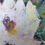 Thumbnail: Soft petals