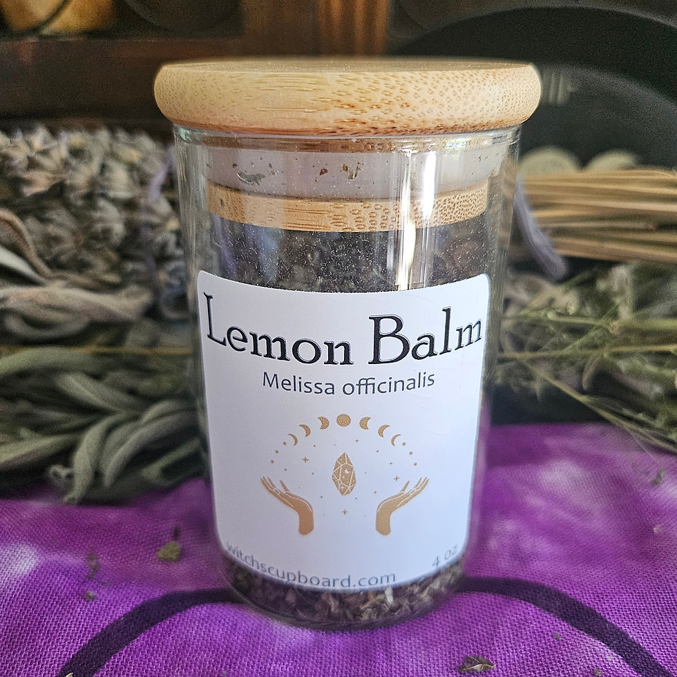 Thumbnail: Lemon Balm (Melissa officinalis) - dried