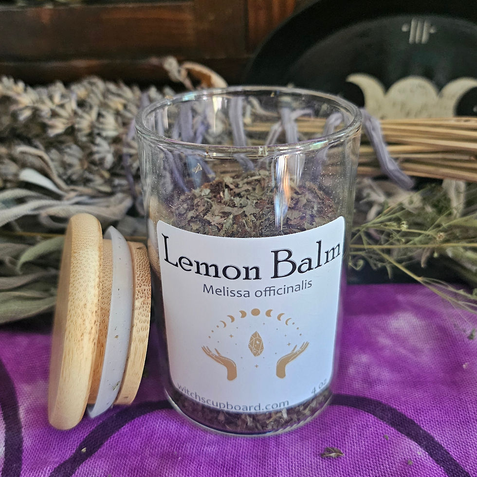 Thumbnail: Lemon Balm (Melissa officinalis) - dried