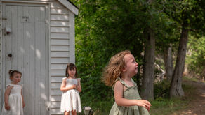 030 - More examples of adding and subtracting elements from a photo