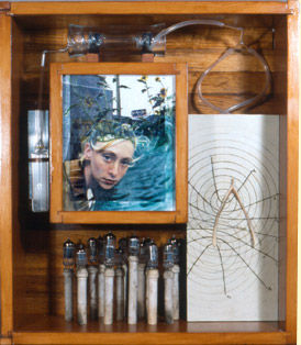 An artwork in a box, showing a girl whose head is turning into a field of sunflowers. Scientific equipment around the central image is attached to a wishbone whose break is centered along a parabolic time arc.