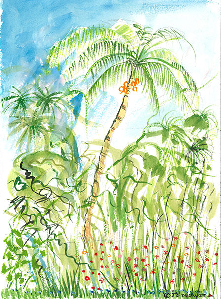0240 JBD Watercolor 9 X 12 2020 Bali Indonesia The Garden Candidasa
