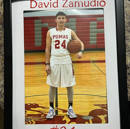 Zamudio