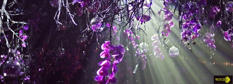 תאורה לתערוכות (6)