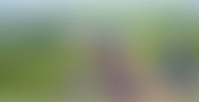 நதிநீர் இணைப்பு தலைமை செயலகத்தில் இருந்தபடி முதலமைச்சர் EPS இன்று காணொலி மூலம் ஆலோசனை நடத்தினார்.