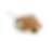 C26_bull