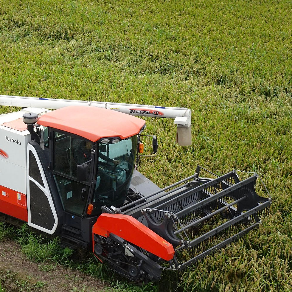 ↑ 汎用コンバインで稲を刈る