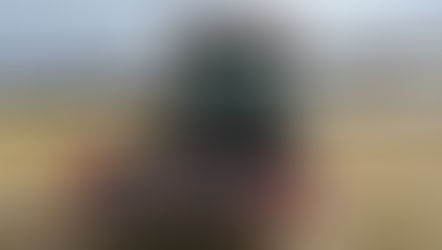 水稲 再びロータリー耕