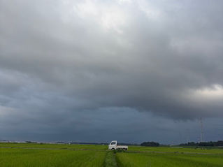 7月 その後