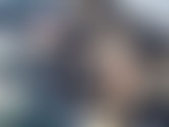 Choosing the Right Puppy : Tips from Experts