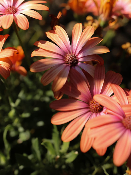 Maintenance Carousel-3.JPG