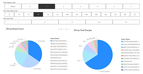 Pie charts with different claims analytics data