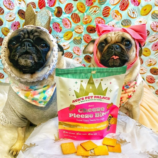 Dog Treats Cat Treats Ava's Pet Palace Illinois