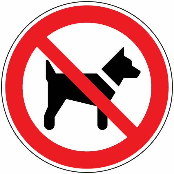 chien interdit.gif
