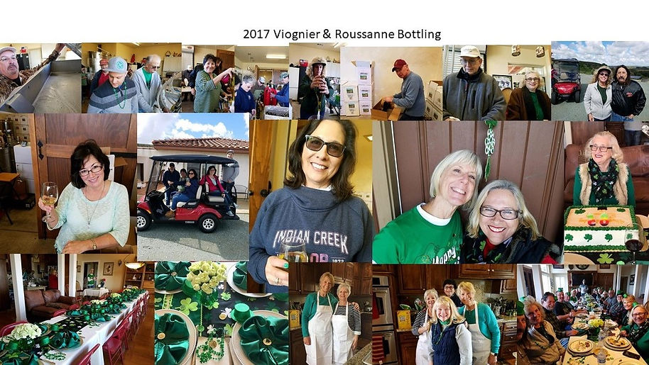 2017 Viognier & Roussanne Bottling.jpg