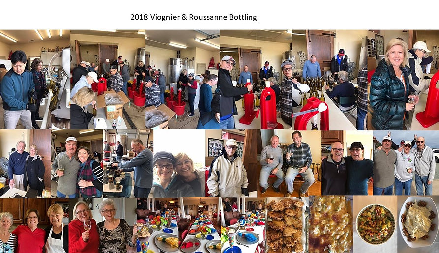 2018 Viognier & Roussanne Bottling.jpg