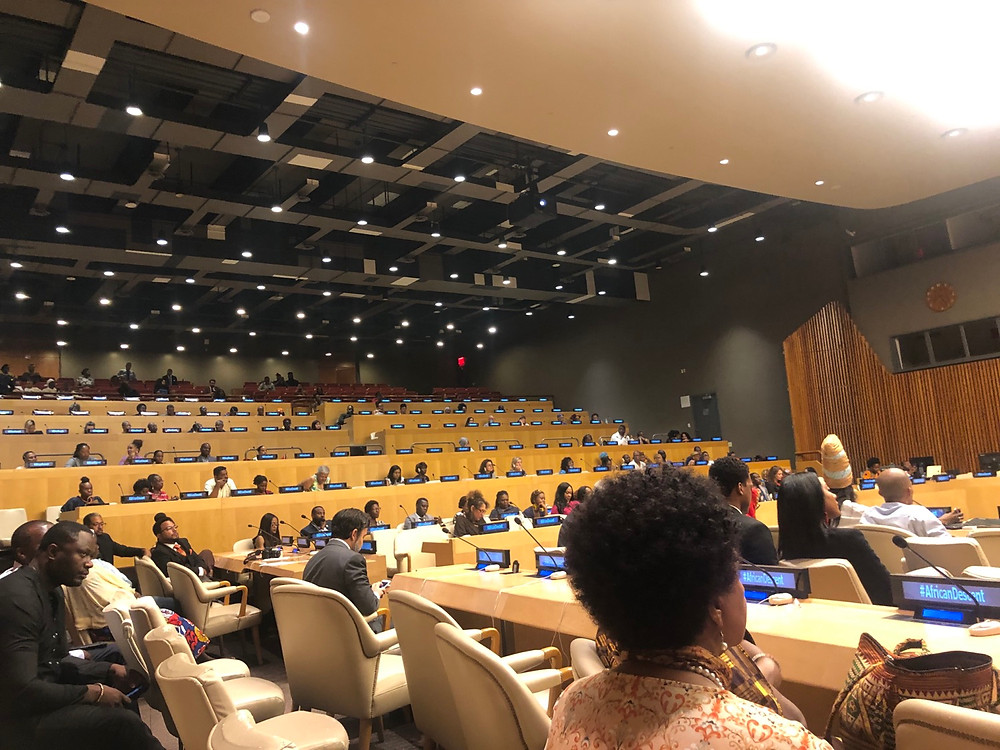 ECOSOC Chamber - Remember Slavery - Africa Descent - United Nations
