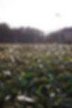 R0026677.JPG