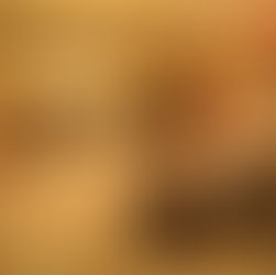 Holiday Collection Prep & Launch