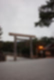 R0026465.JPG
