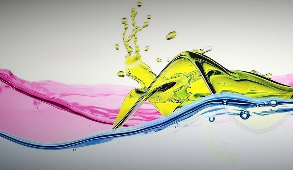 image_6483441 (2).JPG